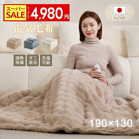 ＼SS限定★クーポンで最安4,980円／【楽天1位】【 日本カケン認証 】電気毛布 掛け敷き 兼用 日本製炭素繊維ヒーター ダブル シングル 大判 190×130/160×80/120×60cm タイマー 電気ブランケット AI自動電源オフ 抗菌 ダニ退治 フランネル ひざ掛け 洗える 2人 節電