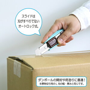 `R[g^Jb^[ NTJb^[ ZL-2P-B ܂ȂZn@u[ 킢   Mtg v[g