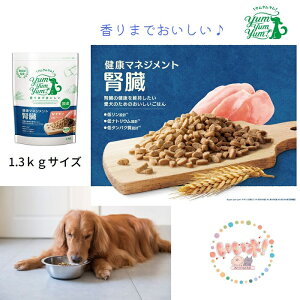 yKi 3980~ȏ㑗z tPA hbOt[h 500g yum yum yumI N}lWg t ჊ igE ^pN  R2  N}lWg t ta h{