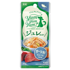 Yum Yum Yum！ ジュレ仕立て かつお 30g R2 アールツー 国産無添加 食べきりサイズ パウチ ヒューマングレード お試し