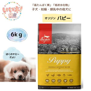 �y���������z Orijen �I���W�� �p�s�[ 6kg �h�b�O�t�[�h �q���E�D�P�E�����ꌢ ���^���p�N�� ��Y������ �O���C���t���[ �����s�g�p ���S ���S �h�{ �J�i�_�Y