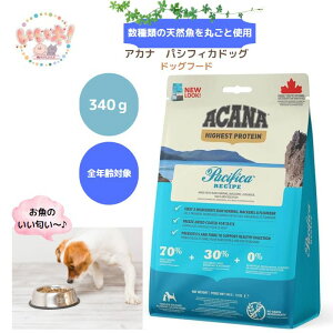 yz AJi pVtBJhbO 2kg hbOt[h OCt[ Hsgp  cV܂ ^pN ^pN 