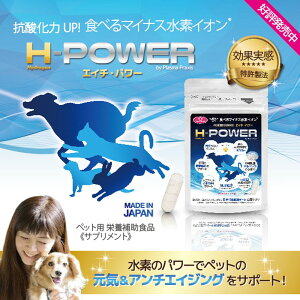 GC`Ep[ H-POWER fTvg f 30JvZ p Lp Tv fTvgI