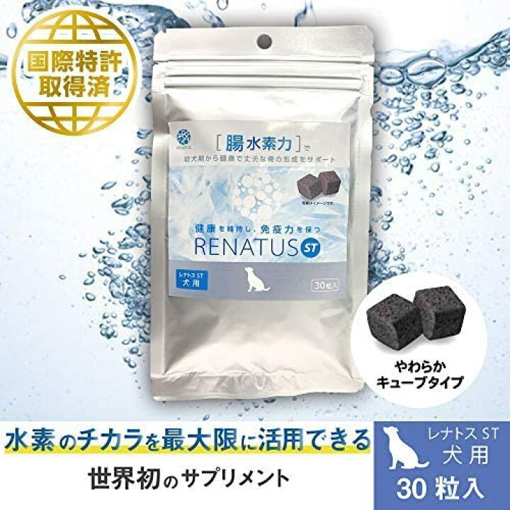 送料無料 にゃんばーどわん サプリ 乳酸菌 ネコ ペット 体臭 フード 免疫力 肥満 口臭 0ｍｌ詰替え用 涙やけ いぬ 猫 ペットフード 犬