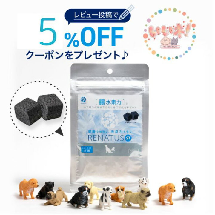 楽天市場】【正規販売店】 レナトス 犬用 レナトス犬 水素サプリメント 