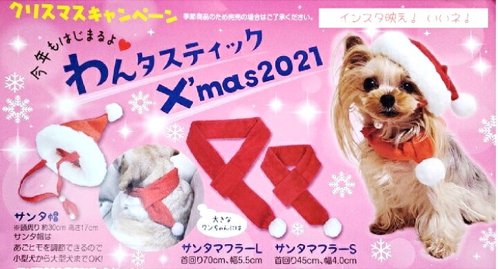 楽天市場 サンタ帽子 マフラー クリスマス 赤 レッド 犬用 帽子 ペットとくらしのお店いいネ