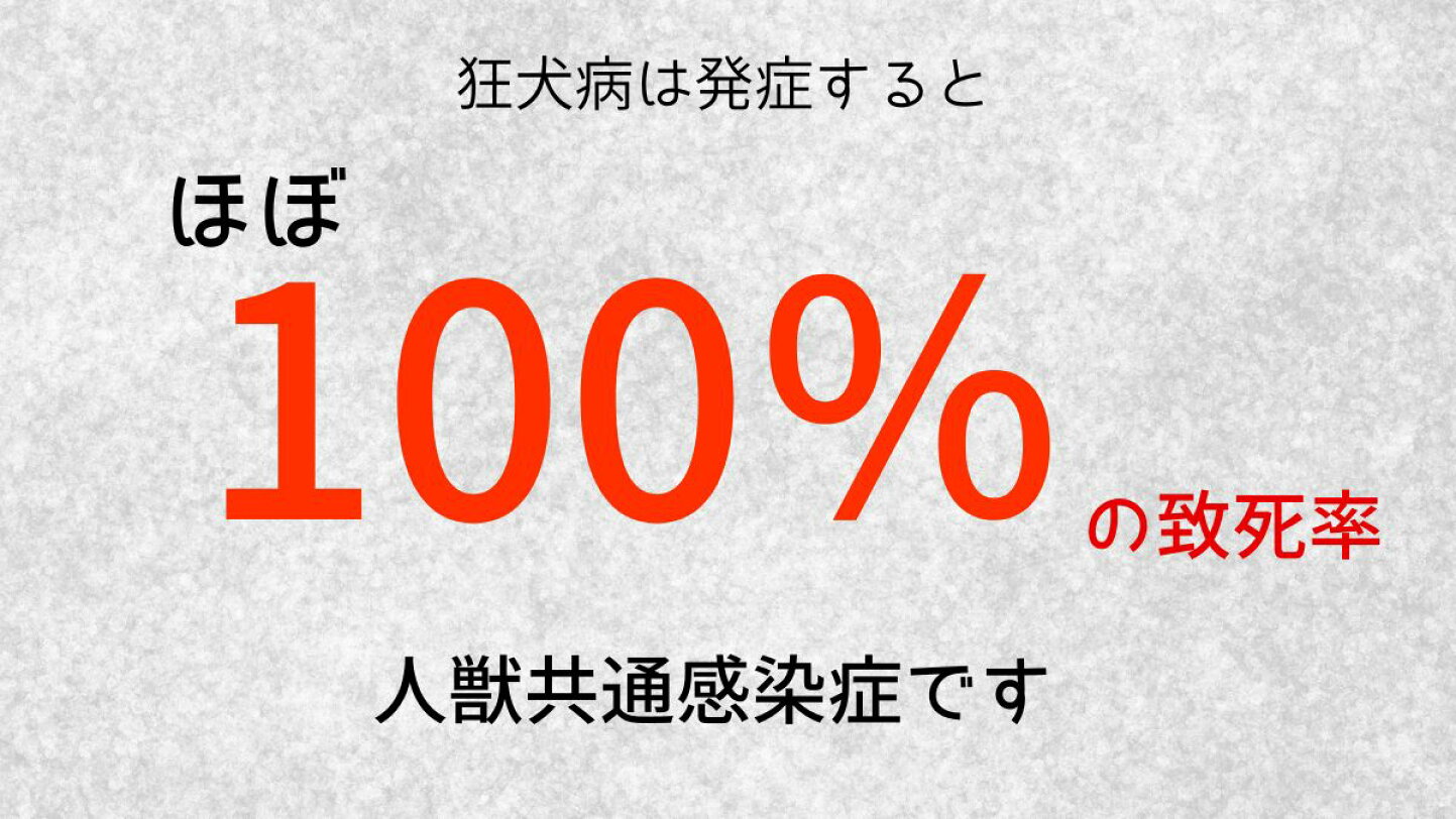 狂犬病 致死 率