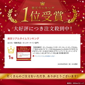 【送料無料】 けしゴムはんこスターターセット けしごむはんこ SEED ほるナビ ケース付 mizutamaさんのほるナビ付き CSK NTカッター D-401P CM22i デザインナイフ カッティングマット はんこ はじめてセット 初心者 日本製 割引中