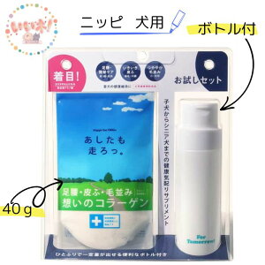  40g p jbs p{gt Tvg R[Q A~m_ jbs { ȒP Nێ  畆 ѕ ߂  {g 3980~ȏ㑗