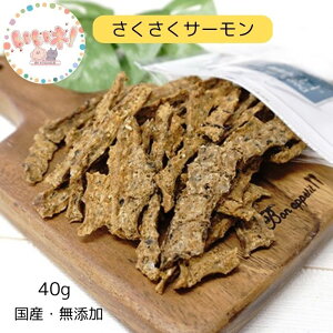 T[ 40g p Lp DOG'S TABLE PLUSihbOXe[u vXjkCY  Y S S Y g[c J g[jO  3980~ȏ㑗