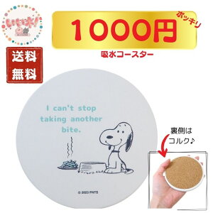 y1000~|bL zXk[s[ zR[X^[ X[Ct R[X^[  G Lb`pi 3980~ȏ㑗 ʌ