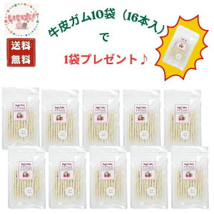 y10+1܃v[gz YK 16{ p K f^ I[PA DOG'S TABLE PLUS hbOXe[u vX J[ R[Q Y S S g[c Y 