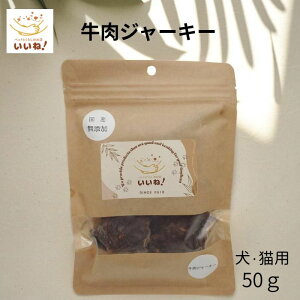 yLO zW[L[ 50g p Lp Y Y ݉ r[t  n[hn ybgƂ炵̂XˁI J g[jO