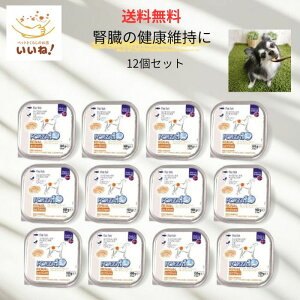 yzi[ANeBEFbg ťNێ 12 FORZA10 actiwet tHc@fBG` tbgtBbV 100g pEGbgt[h  r pe^Cv ^pN ჊ 