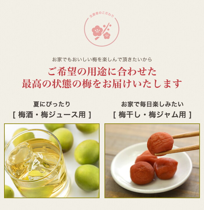 楽天市場】青梅 南高梅 5kg 予約受付中!(送料込※北海道・沖縄+700円) 用途(ジュース・梅酒/漬け梅(梅干し))【旬のとれた て青梅】粒サイズ(小粒・中粒・大粒・特大)選べる【紀州南高梅の青梅】【日付指定不可】 : やさしさの梅樹園プラムレディ 楽天市場】青梅 南高梅 5kg 予約受付中!(送料込※北海道・沖縄+700円) 用途(ジュース・梅酒/漬け梅(梅干し))【旬のとれた て青梅】粒サイズ(小粒・中粒・大粒・特大)選べる【紀州南高梅の青梅】【日付指定不可】 : やさしさの梅樹園プラムレディ