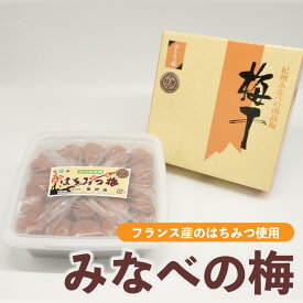 梅干し はちみつ入 みなべの梅 梅干 フランス産 太陽の蜂蜜使用