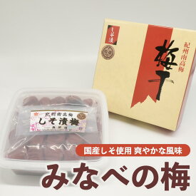 梅干し 本場紀州南高梅使用 紀州しそ漬梅 梅干し 梅干 うめぼし ウメボシ