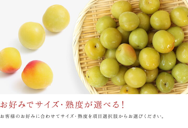 楽天市場】冷凍梅 1kg 選べる熟度とサイズ 2021年度産冷凍南高梅 和歌山県産 冷凍梅送料無料(一部別途)梅ジュース・梅シロップ・梅酒・梅ジャム ・ 青梅・梅干し 紀州産 : やさしさの梅樹園プラムレディ 楽天市場】冷凍梅 1kg 選べる熟度とサイズ 2021年度産冷凍南高梅 和歌山県産 冷凍梅送料無料(一部別途)梅ジュース・梅シロップ・梅酒・梅ジャム ・ 青梅・梅干し 紀州産 : やさしさの梅樹園プラムレディ