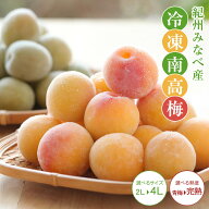 冷凍梅 1kg 選べる熟度とサイズ 2025年度産冷凍南高梅 和歌山県産 冷凍梅送料無料（一部別途）梅ジュース…