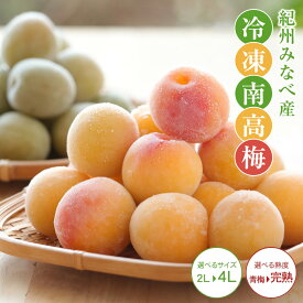 冷凍梅 1kg 選べる熟度とサイズ 2025年度産冷凍南高梅 和歌山県産 冷凍梅送料無料（一部別途）梅ジュース・梅シロップ・梅酒・梅ジャム ・青梅・梅干し 紀州産