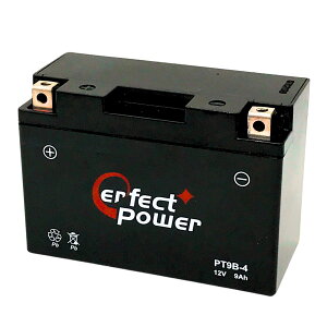 p[tFNgp[ PT9B-4 oCNobe[ [dρy݊ YT9B-BS YT9B-4 FT9B-4 GT9B-4zgp\