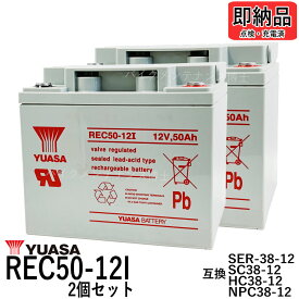 【2個セット】 台湾ユアサ YUASA REC50-12I シールドバッテリー セニアカー 【互換 NP40-12 NP38-12 SER38-12 SC38-12 HC38-12】