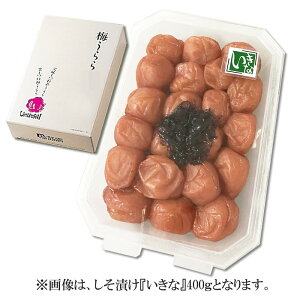 y蕨ɍœKȍ~Mtgz~  WpbN400g i10j yԂ̂Ђ~ 䒆  Ε Ε j j oYj oYj  j j