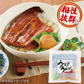 【 うなぎ蒲焼 】うなぎ × うめぼし 食べ合わセット 一人前 国産 鰻