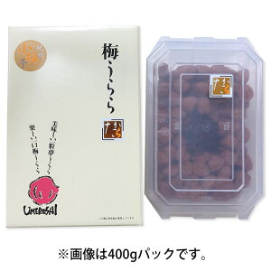 梅干し しそ漬け梅干し【小梅】梅うらら たから レンジパック300g(塩分10%)【各種ご贈答に】【ギフト】しそ漬け小梅干し 和歌山県産 小梅 小梅干 うめぼし ウメボシ 梅干し 梅干 小粒 紀州