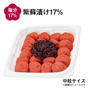 ~ hƉŒЂ݂܂yI 썂~ z ̂Ȃ hЂ17% ƒpGRpbN380g TCY Y ~ ~ hЂ