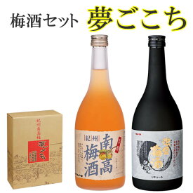 楽天市場 泡盛梅酒の通販