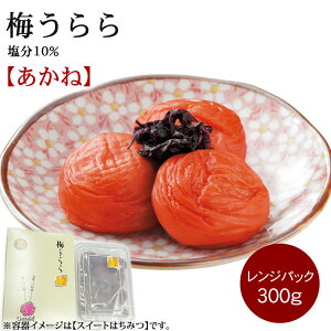 yЂ~z~  WpbN300g (10) a̎RY IB썂~yMtgz