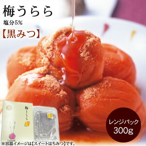 yЂz ~ ݂ WpbN300gi5ja̎RY IB썂~ ~.yMtgz