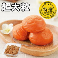 自然な甘さ スイートはちみつ 特選A級 はちみつ梅 国産 超大粒 紀州南高梅 ご家庭用エコパック 500g 4Lサ…