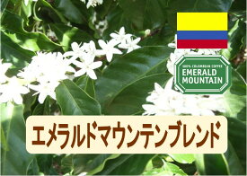 送料無料 エメラルドマウンテンブレンド 1kg- 2kg コーヒー豆 コーヒー 珈琲 Coffee 大容量