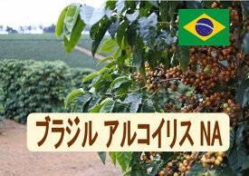 ブラジルアルコイリスNA 100g-500g 珈琲 Coffee コーヒー豆