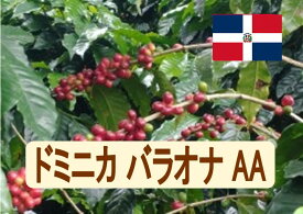 ドミニカ バラオナAA 100g-500g 珈琲 Coffee コーヒー豆