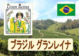 ブラジル グランレイナ 100g-500g 珈琲 Coffee コーヒー豆