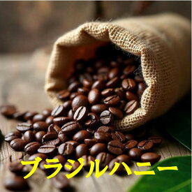 ブラジルハニー100g-500g コーヒー 珈琲 Coffee コーヒー豆