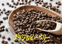 ブラジルピーベリー 100g-500g コーヒー 珈琲 Coffee コーヒー豆