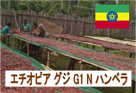 エチオピアグジG1ナチュラル ハンベラ 100g 珈琲 Coffee