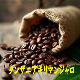 タンザニア キリマンジャロ AA 100g-500g コーヒー豆 コーヒー 珈琲 Coffee