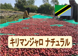 タンザニアキリマンジャロナチュラル 100g-500g 珈琲 Coffee コーヒー豆