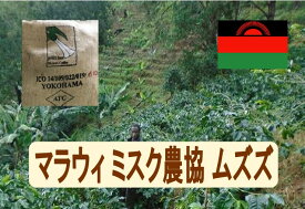 マラウィ ミスク農協ムズズAB 100g-500g 珈琲 Coffee コーヒー豆