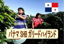 パナマSHBガリードハイランド 100g-500g 珈琲 Coffee コーヒー豆