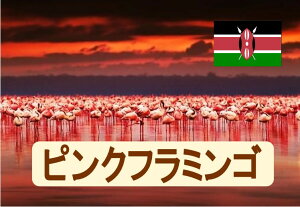 PjAsNt~S 100g@R[q[@@ Coffee