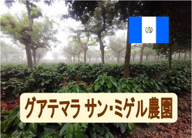 グアテマラSHB サン・ミゲル農園 100g-500g 珈琲 Coffee コーヒー豆