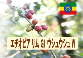エチオピアリムG1ウシュウシュW 100g-500g 珈琲 Coffee コーヒー豆