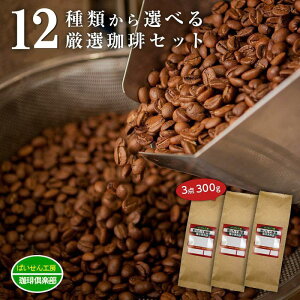 12_蓤Iׂ镟܁Iv300g3_Zbg@ R[q[ Zbg 蓤 ݔ @҂Îׂ͓X (coffee-0001)