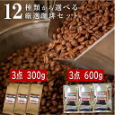【計600g】【計300g】12点の珈琲豆から選べる福袋！3点セット コーヒー豆 お試しセット お試し 珈琲豆 飲み比べ 焙煎具合や挽き具合も選べるのは当店だけっ (coffee-0001)送料無料 メール便